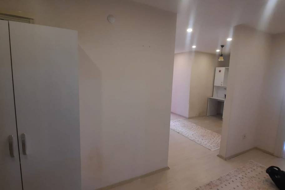 Property Detail